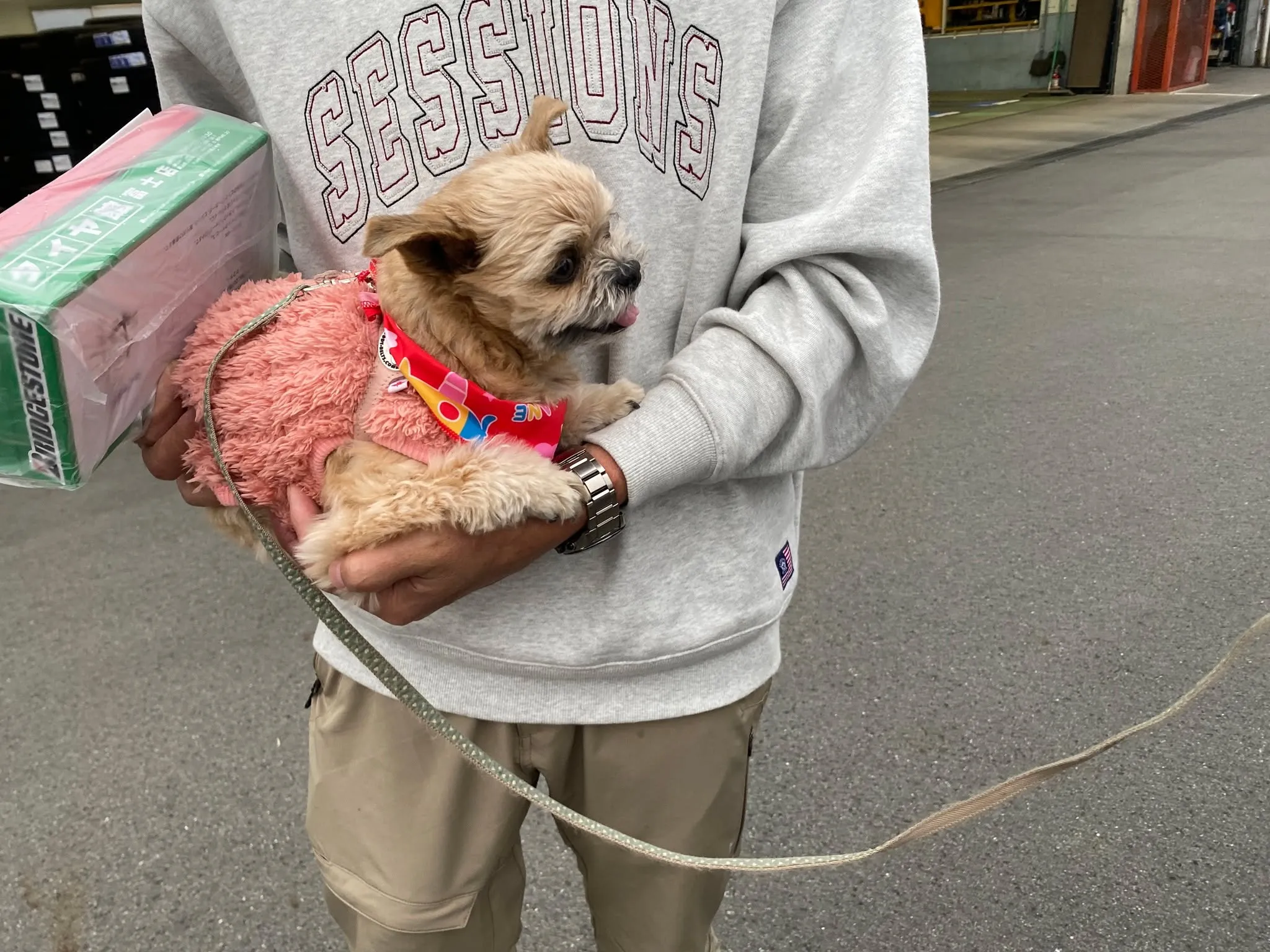 コムちゃんご来店♪