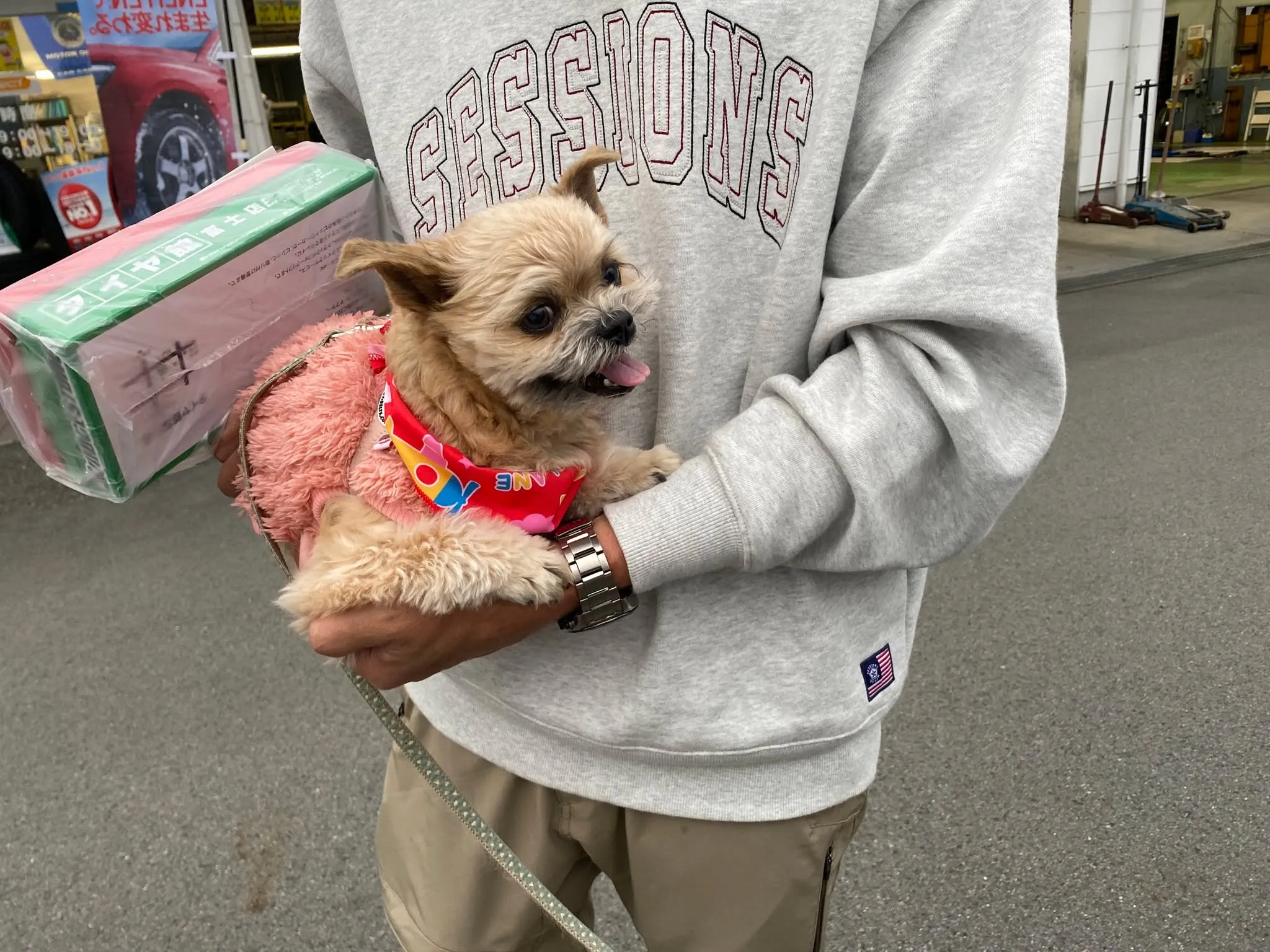 コムちゃんご来店♪