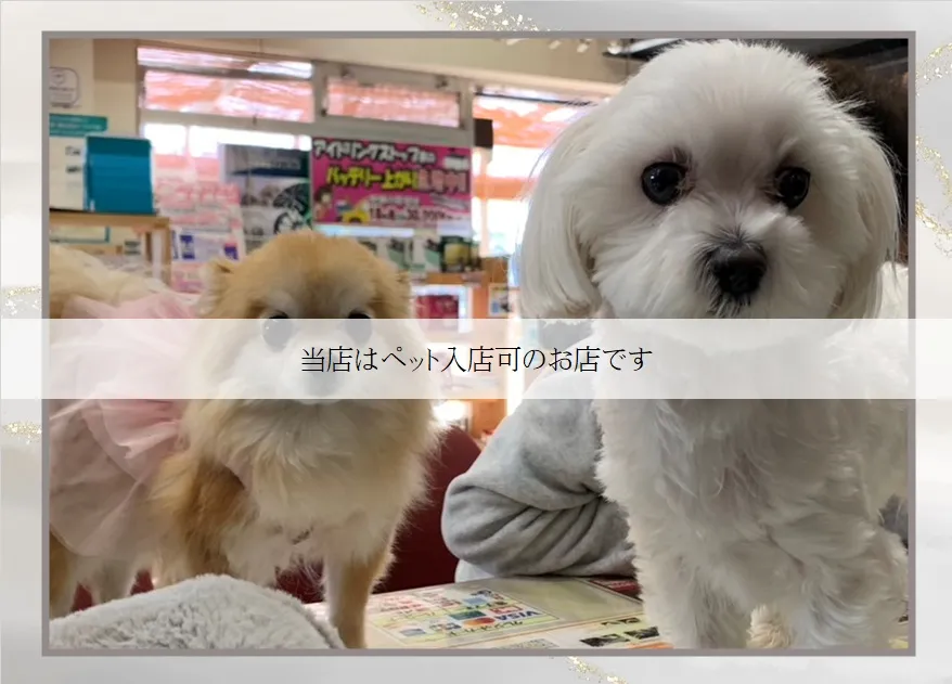 当店はペット入店可のお店です！