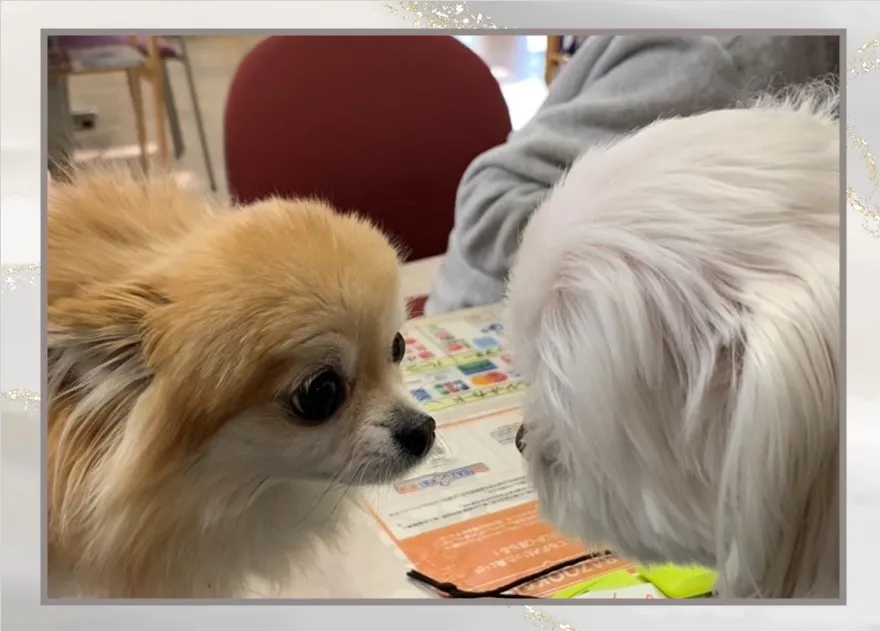 当店はペット入店可のお店です！