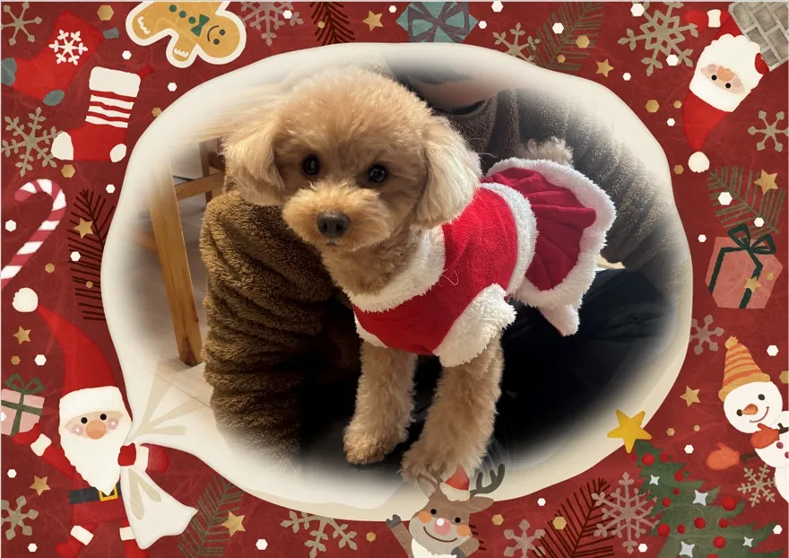 メリークリスマス!!