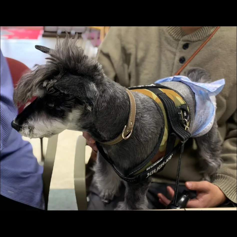 ロイくんご来店！