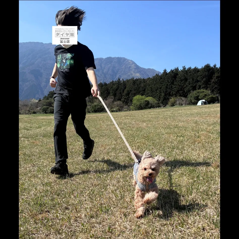 癒し投稿