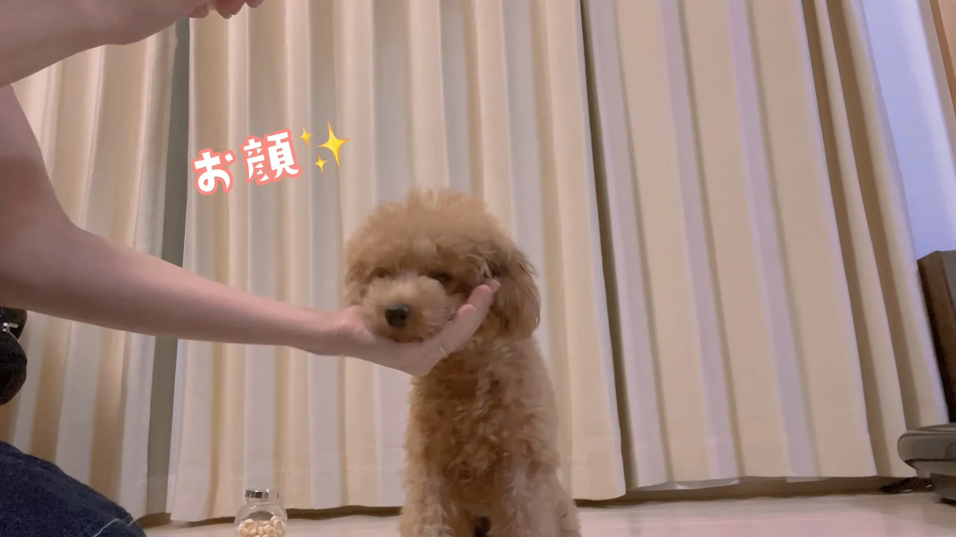 癒し投稿